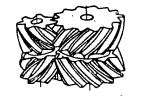 Double helical gear